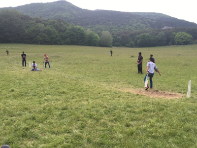 Cricket-Training für Flüchtlinge